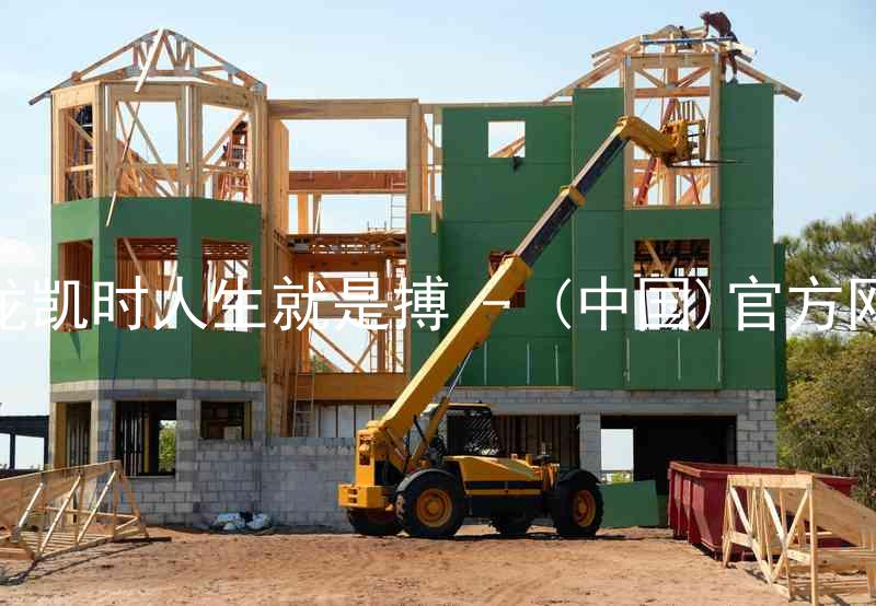 尊龙凯时人生就是搏 - (中国)官方网站